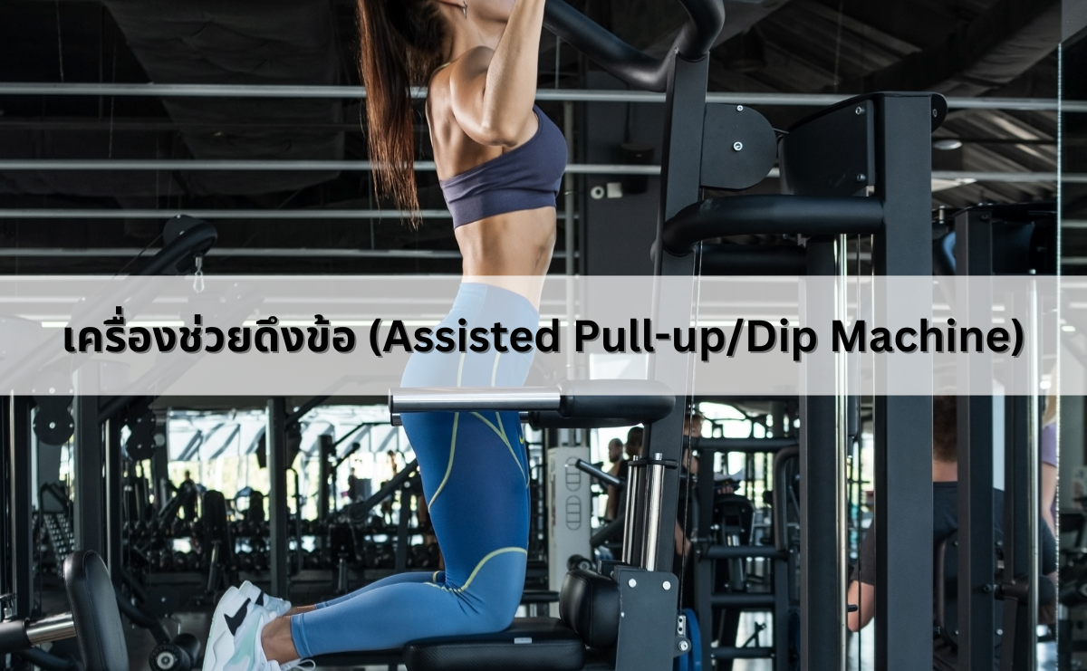 เครื่องช่วยดึงข้อ (Assisted Pull-up/Dip Machine)