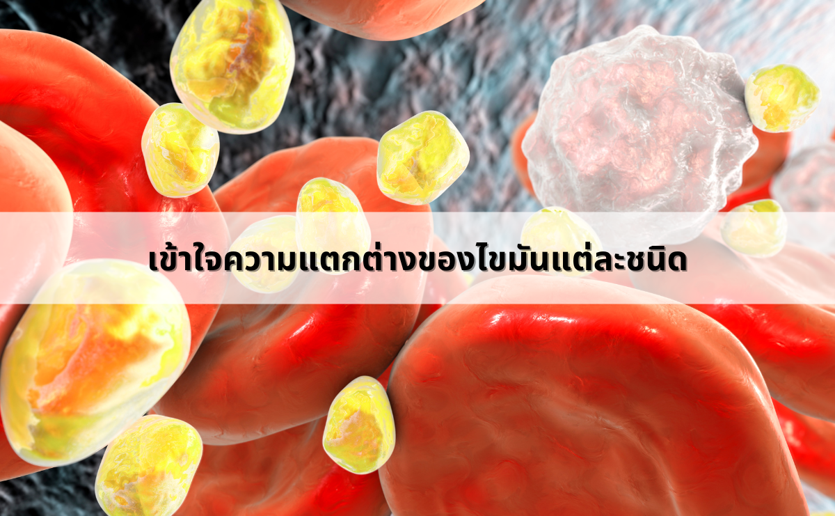 เข้าใจความแตกต่างของไขมันแต่ละชนิด